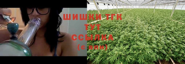 спиды Новодвинск